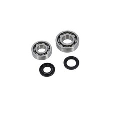 Roulement vilo + jts spi cyclo