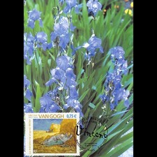 CM CEF - Tableau Vincent Van Gogh, la méridienne - 2/7/2004 Paris