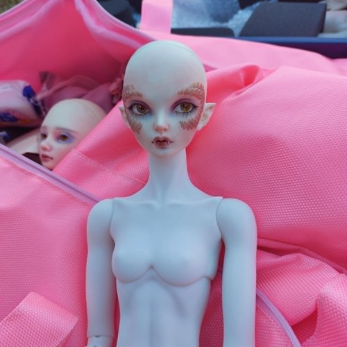 Fukadoll fairyland bjd body - fukadoll,