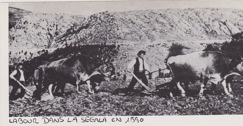 1976 labour dans la - ,
