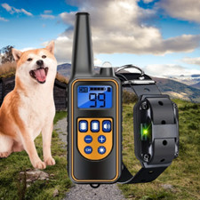 Collier de Dressage Chien avec Télécommande – Rechargeable, Bip & Vibration