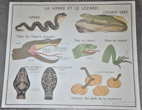 Ancienne affiche pédagogique
