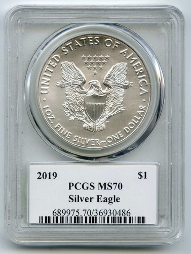 2019 american eagle - eagle, 1