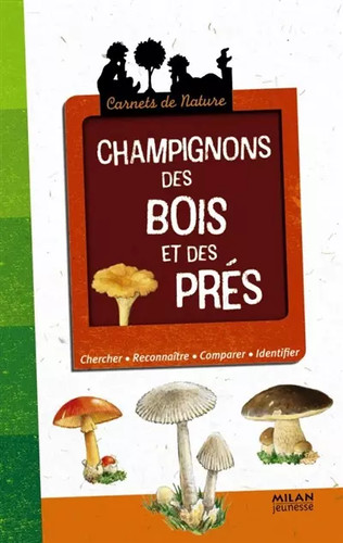 Champignons des bois - bois, et
