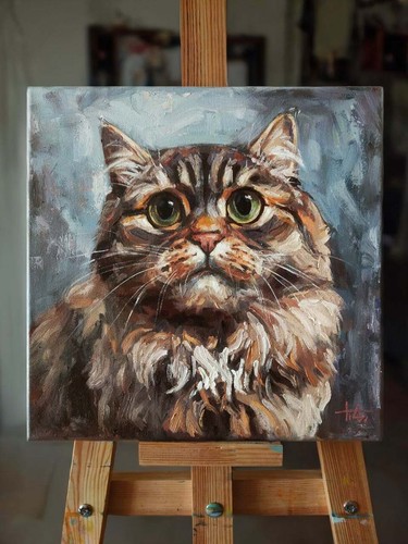 Portrait chat tabby - portrait, d'un
