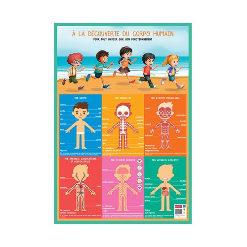 Poster pédagogique - ,