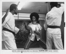 TAMARA DOBSON cleopatra jones