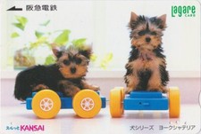 Carte JAPON - ANIMAL - CHIEN YORKSHIRE sur jouet - PUPPY DOG JAPAN Kansai card