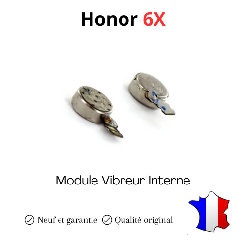 Module vibreur interne pour - module, interne,