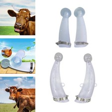 Veau Taureau Vache Corne De