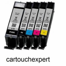 5 cartouches d'encre PGI570 XL