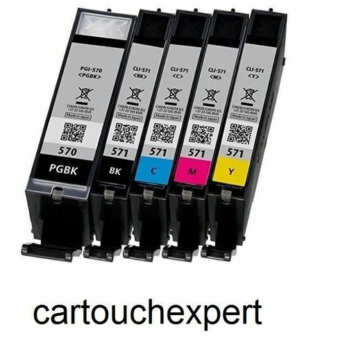 Cartouches encre pgi570 xl - d'encre,