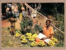 AFRIQUE EN COULEURS - IRIS