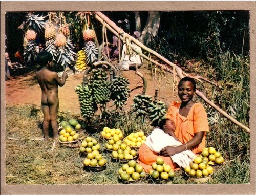 Afrique couleurs iris - en,