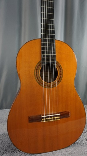 Guitarra tamura venus - tamura,