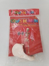 A La Découverte Du Corps