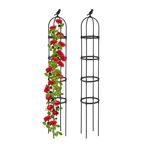 Support vertical plantes