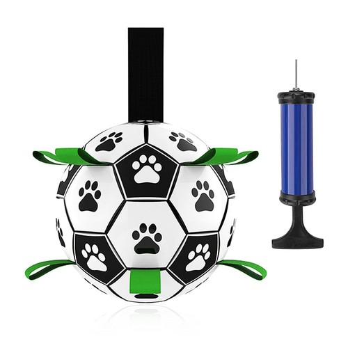 Chien football balle - football,