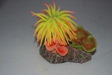 Corail D'Aquarium Jaune &