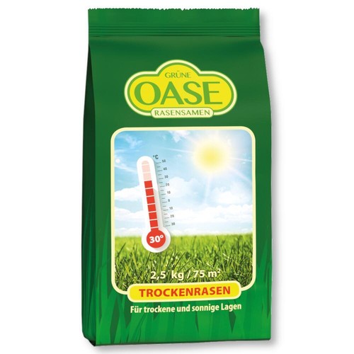 Grüne oase graines gazon - grüne,