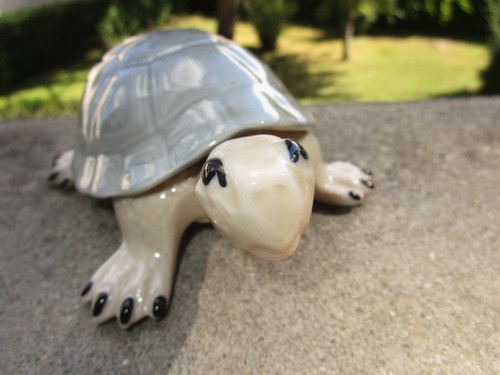 Ancienne belle petite tortue