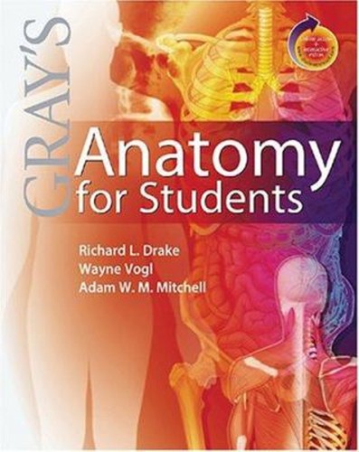 Gray anatomy pour les - gray's,