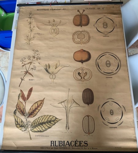 Très ancienne affiche