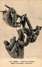 CPA Paris 5e-Jardin des