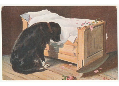 Cartolina ancienne chien - ancienne,