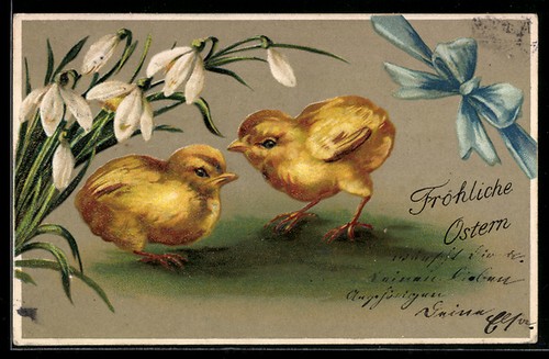 Carte postale gaufrée