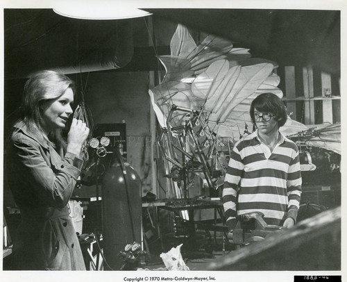 Bud cort brewster sally - bud,
