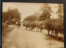 D37 Vers Tours C.1898 Chevaux