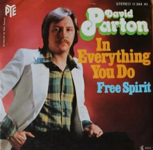 David parton everything you - parton, in