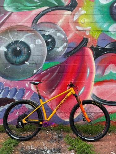 Santa cruz chameleon full - xl,