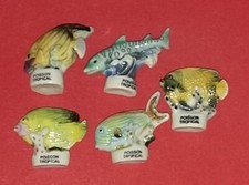 Série complète fèves