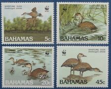 Bahamas neufs, n°659 à 662, WWF, canard siffleur, 1988, N**