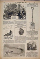 Original Old Antique Print