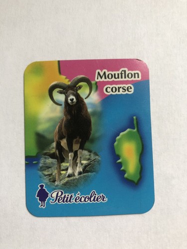 Magnet petit écolier - petit,