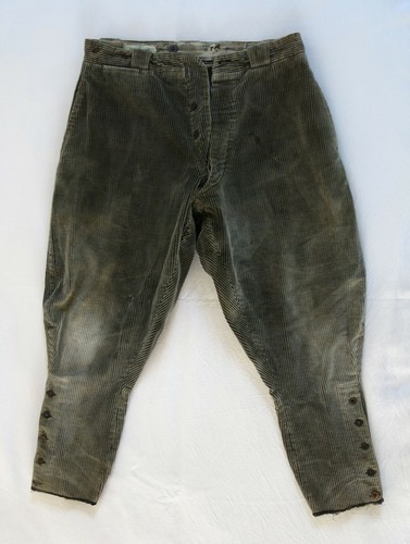 Chat vert pantalon ancien - le,