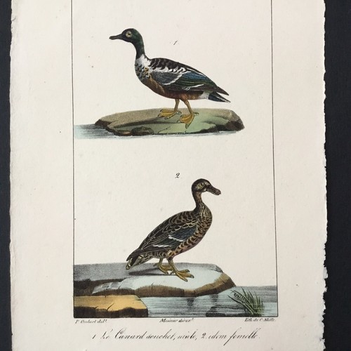 Gravure litho par - litho,