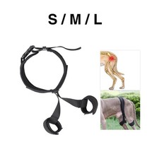 Attelle de hanche pour chien Attelle de genou pour chien Aide canine Attelle