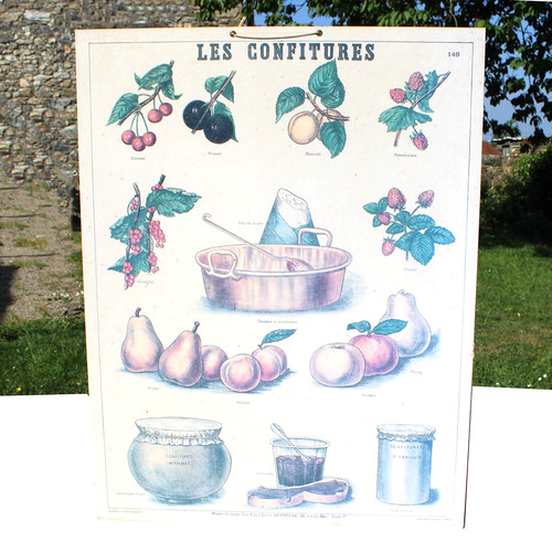 Affiche pédagogique les - affiche,