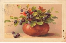 Illustrateur - C. Klein - Myrtilles et feuilles dans un vase