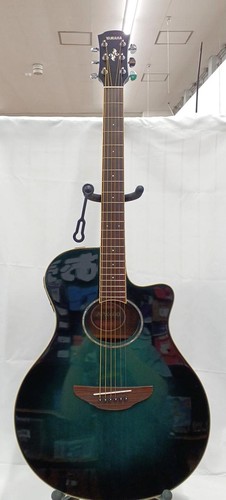 Guitare acoustique électrique