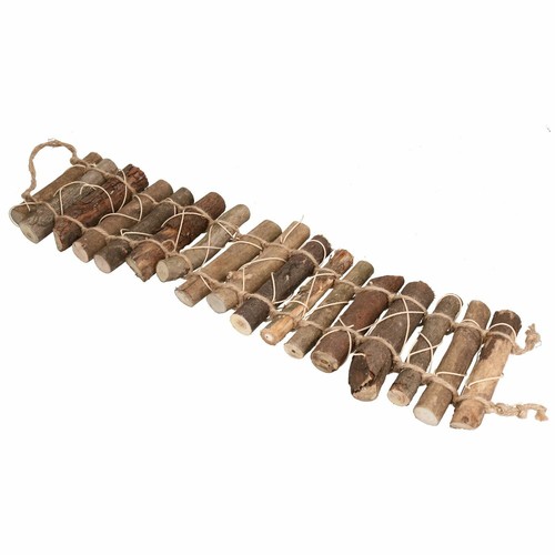 Petits animaux oiseaux