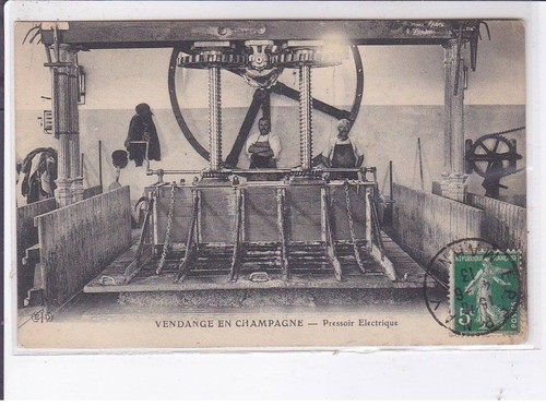 Epernay vendange en - vendange,