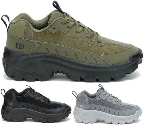 Caterpillar cat intruder lite - intruder,