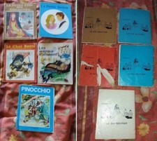 5 livre La petite fille aux