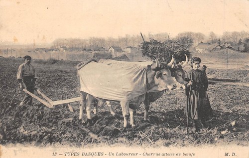 Cpa types basques un - basques, /