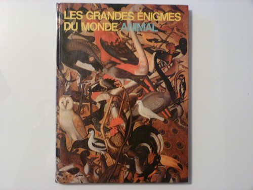 Les grandes enigmes monde - enigmes, du